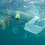 Causas de la contaminación del mar: qué es, orígenes y prevención